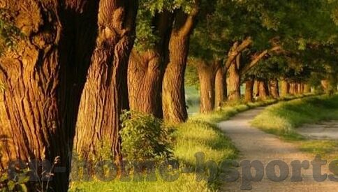 足球比分球队排名-足球世界风云变幻，比分背后的球队排名密码